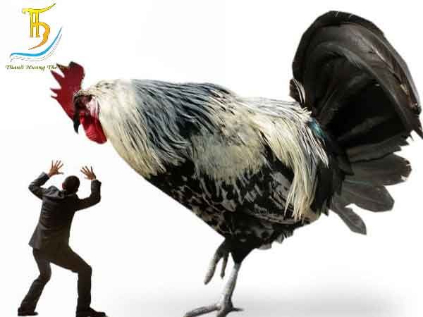 [Image: phong-thuy-chuyen-nha-cho-nguoi-tuoi-dau...99a62a.jpg]