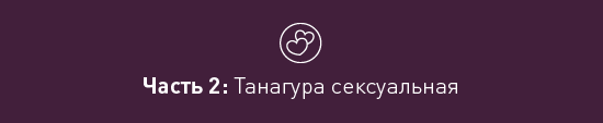 Сексуальная