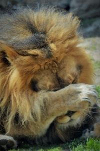  photo 2d0bd41f-15da-4ad6-98f8-dd3518291493_zps2mgs3cxw.jpg