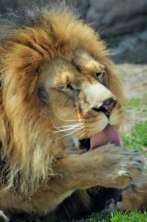  photo d875329a-b691-4164-9c98-09588b681947_zpsesw5jspj.jpg