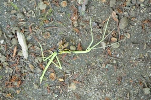  photo f3743fc2-a1a4-45ea-83e1-b76b74bb7e0b_zpsgszn4kjt.jpg