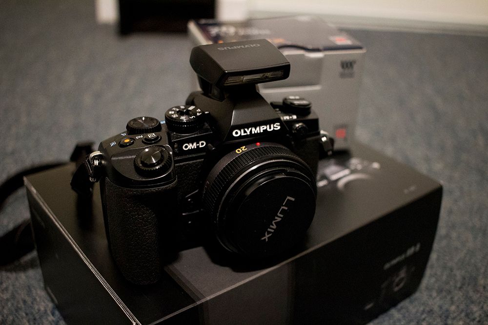 IMAGE: http://i1382.photobucket.com/albums/ah260/memzinla/IMG_3881_1%20copy_zpsfralu0an.jpg