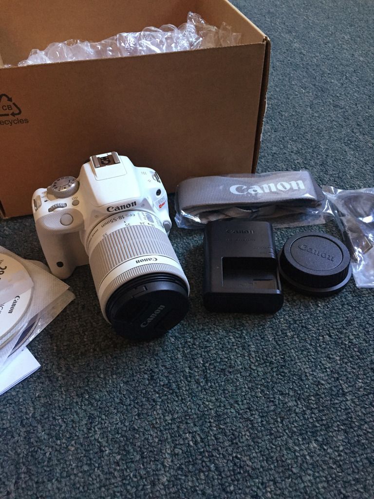 IMAGE: http://i1382.photobucket.com/albums/ah260/memzinla/IMG_8124%20copy_zpswn3hnprr.jpg