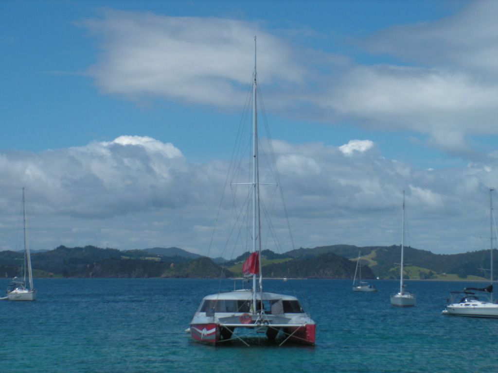 3.	DÍA 3 -- SÁBADO 17 --  VER PERO NO NADAR CON DELFINES - Nueva Zelanda en 21 días, sólo y mucho trekking (3)