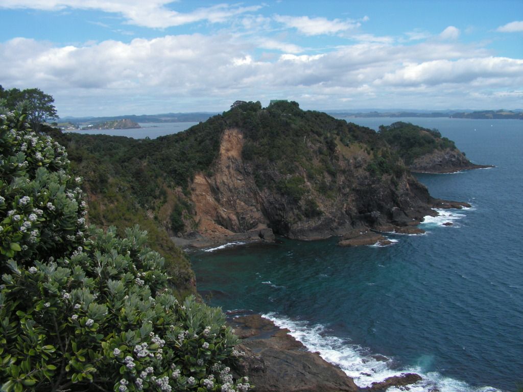 3.	DÍA 3 -- SÁBADO 17 --  VER PERO NO NADAR CON DELFINES - Nueva Zelanda en 21 días, sólo y mucho trekking (7)