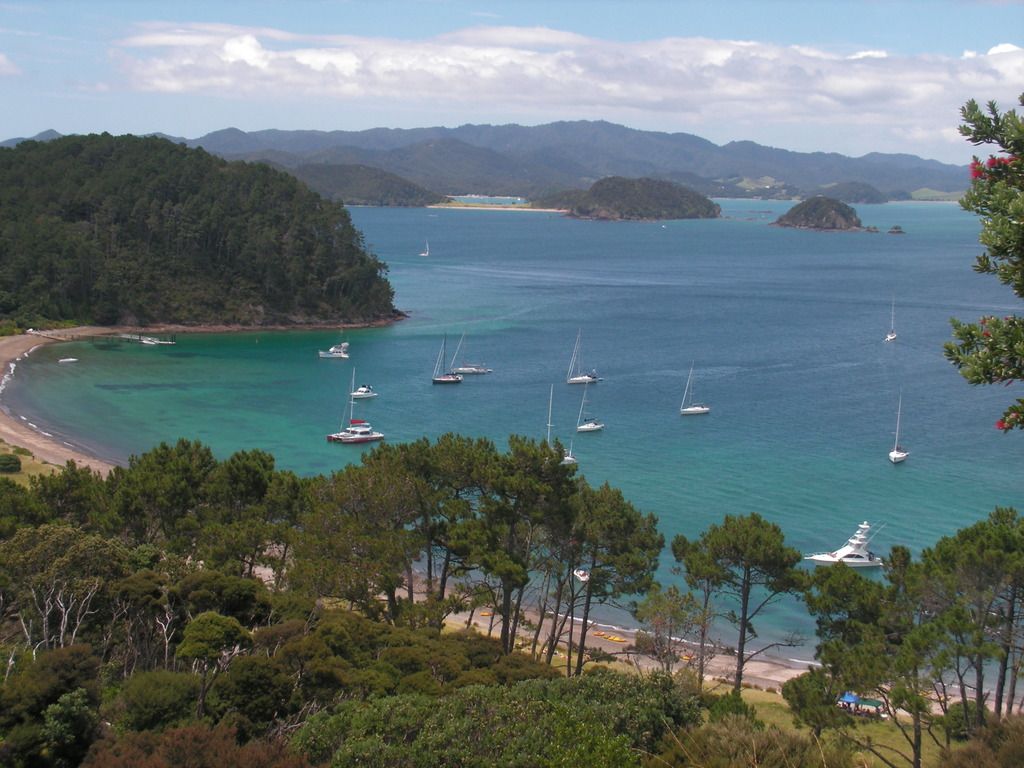 3.	DÍA 3 -- SÁBADO 17 --  VER PERO NO NADAR CON DELFINES - Nueva Zelanda en 21 días, sólo y mucho trekking (8)