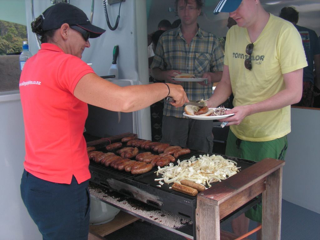3.	DÍA 3 -- SÁBADO 17 --  VER PERO NO NADAR CON DELFINES - Nueva Zelanda en 21 días, sólo y mucho trekking (13)