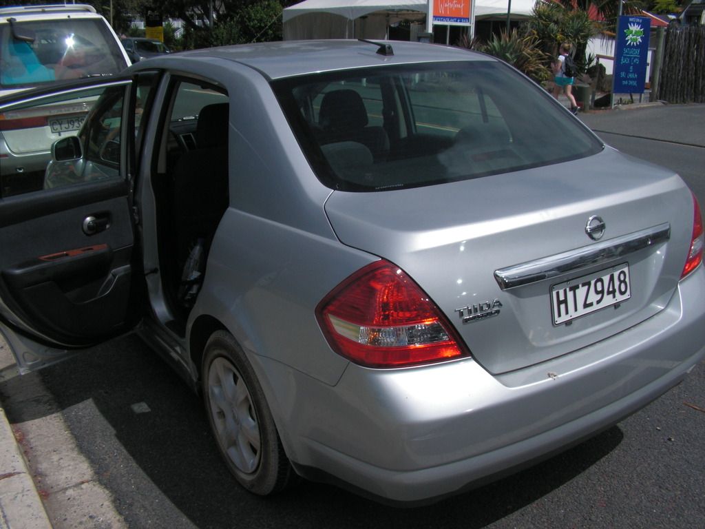 3.	DÍA 3 -- SÁBADO 17 --  VER PERO NO NADAR CON DELFINES - Nueva Zelanda en 21 días, sólo y mucho trekking (16)