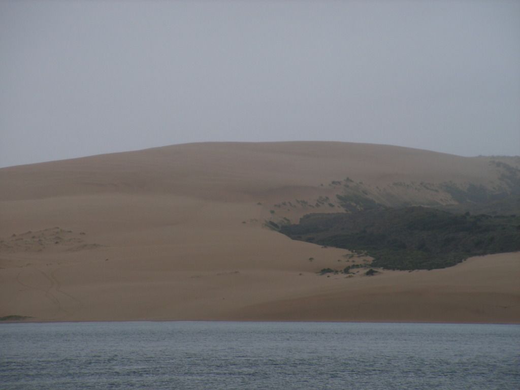 3.	DÍA 3 -- SÁBADO 17 --  VER PERO NO NADAR CON DELFINES - Nueva Zelanda en 21 días, sólo y mucho trekking (18)