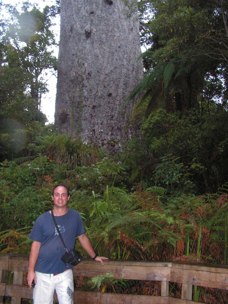 3.	DÍA 3 -- SÁBADO 17 --  VER PERO NO NADAR CON DELFINES - Nueva Zelanda en 21 días, sólo y mucho trekking (21)
