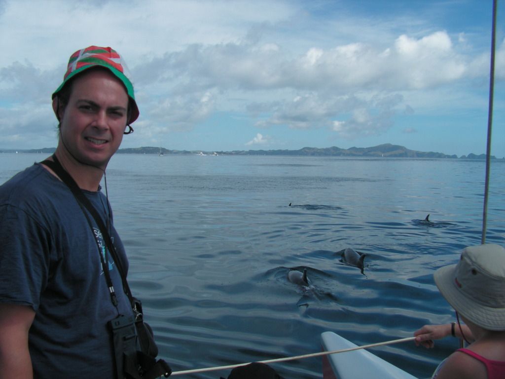 3.	DÍA 3 -- SÁBADO 17 --  VER PERO NO NADAR CON DELFINES - Nueva Zelanda en 21 días, sólo y mucho trekking (5)