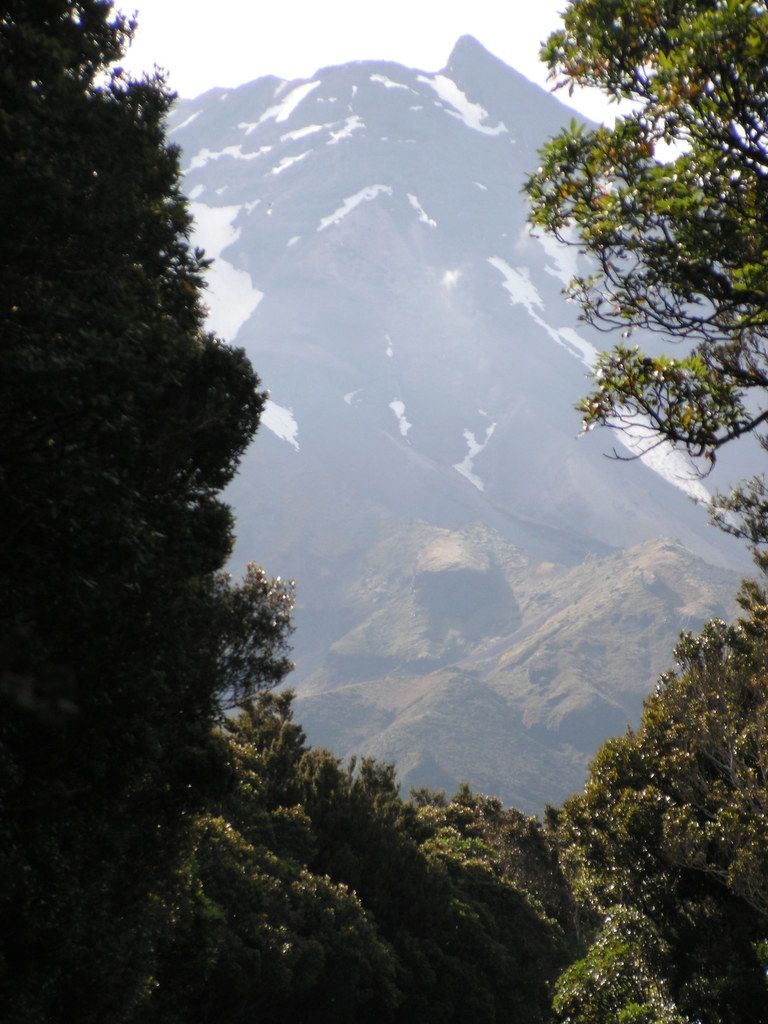 8.	DÍA 8 --  JUEVES 22. --  SUBIDA AL TARANAKI - Nueva Zelanda en 21 días, sólo y mucho trekking (13)