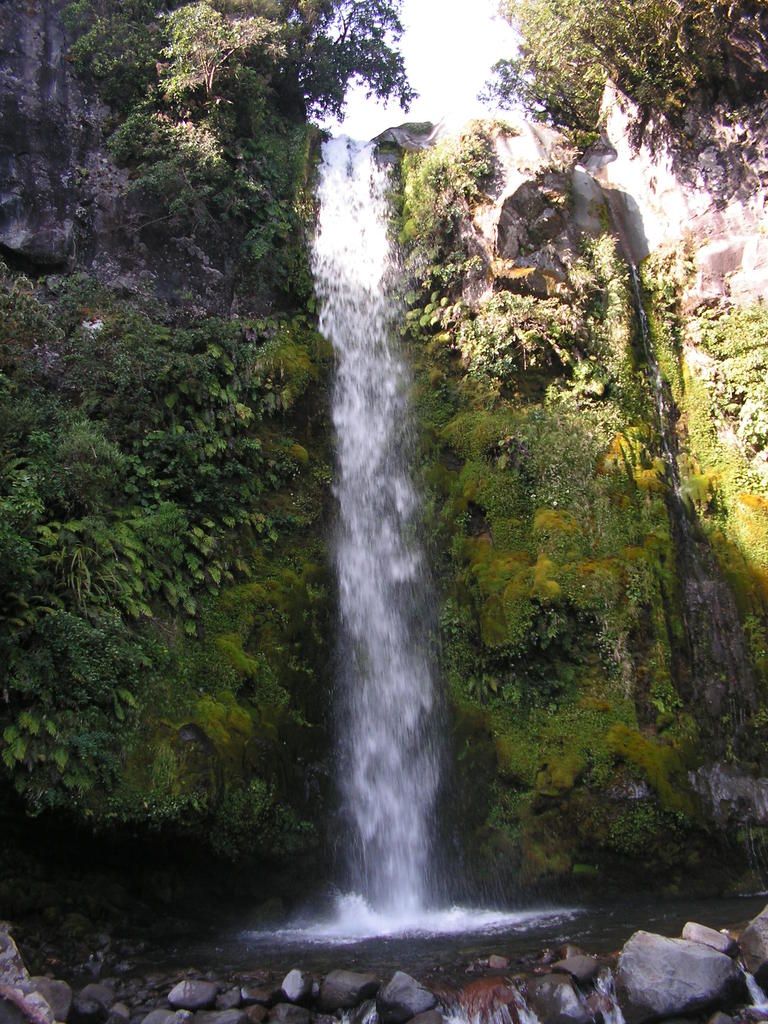 8.	DÍA 8 --  JUEVES 22. --  SUBIDA AL TARANAKI - Nueva Zelanda en 21 días, sólo y mucho trekking (14)
